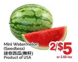 T&T Supermarket MINI WATERMELON offer
