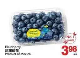 T&T Supermarket BLUEBERRY offer