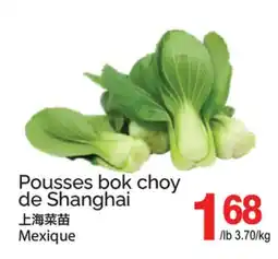 T&T Supermarket POUSSES BOK CHOY DE SHANGHAI offer