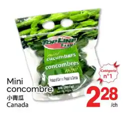 T&T Supermarket MINI CONCOMBRE offer