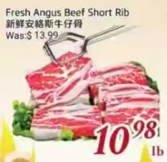 Tone Tai Supermarket Fresh Angus Beef Short Rib offer