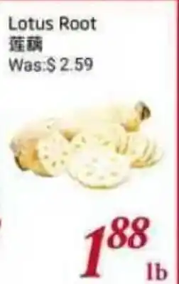 Tone Tai Supermarket Lotus Root offer