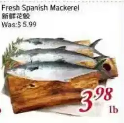 Tone Tai Supermarket Fresh Spanish Mackerel offer