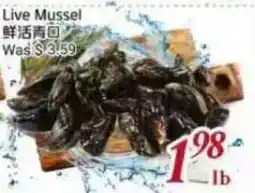 Tone Tai Supermarket Live Mussel offer