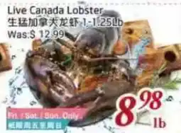 Tone Tai Supermarket Live Canada Lobster offer