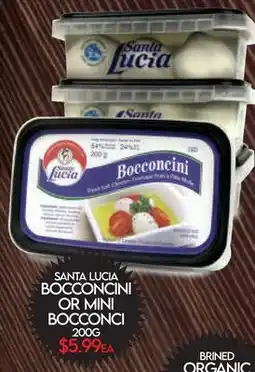 Fiesta Farms SANTA LUCIA BOCCONCINI OR MINI BOCCONCINI offer