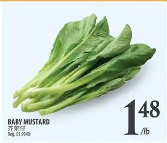 Al Premium Food Mart BABY MUSTARD offer