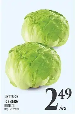 Al Premium Food Mart ICEBERG LETTUCE offer