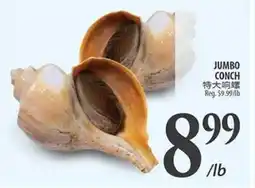 Al Premium Food Mart JUMBO CONCH offer