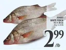 Al Premium Food Mart JUMBO WHITE PERCH offer