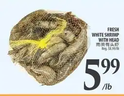 Al Premium Food Mart FRESH WHITE SHRIMP WITH HEAD offer