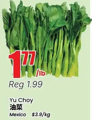 Terra Foodmart Yu Choy offer