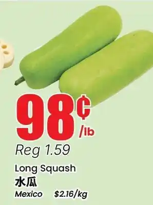 Terra Foodmart Long Squash offer