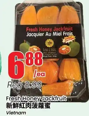 Terra Foodmart Fresh Honey Jackfruit offer