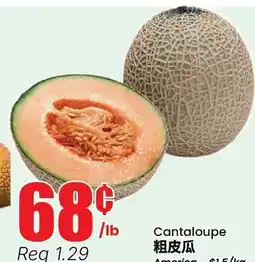 Terra Foodmart Cantaloupe offer