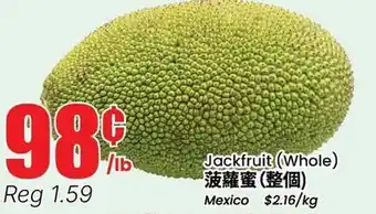 Terra Foodmart Jackfruit (Whole) offer