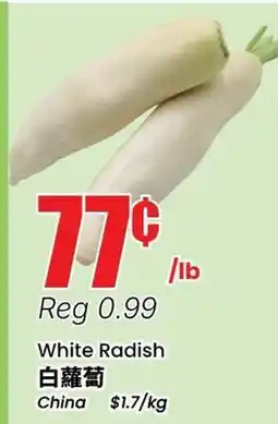Terra Foodmart White Radish offer