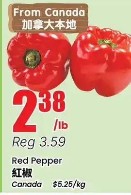 Terra Foodmart Red Pepper offer