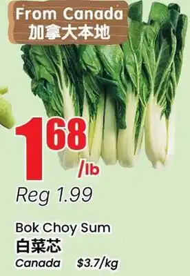 Terra Foodmart Bok Choy Sum offer