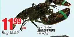 Terra Foodmart Live Lobster offer