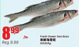 Terra Foodmart Fresh Green Sea Bass offer