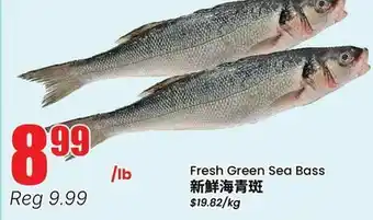 Terra Foodmart Fresh Green Sea Bass offer