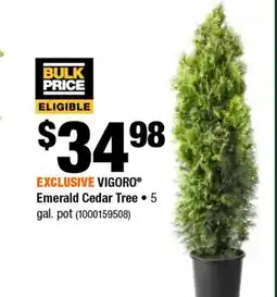 Home Depot Emerald cedar tree 5 gal pot offer