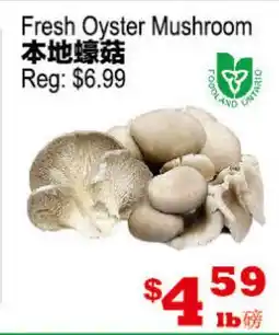 Yuan Ming Supermarket Fresh Oyster Mushroom offer