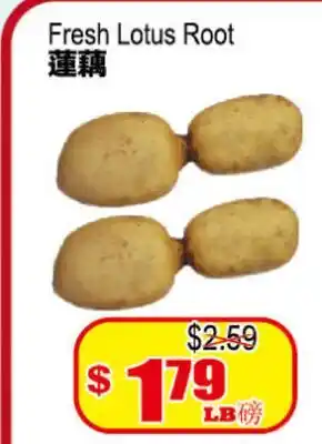 Yuan Ming Supermarket Fresh Lotus Root offer