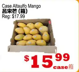Yuan Ming Supermarket Case Altaulfo Mango offer