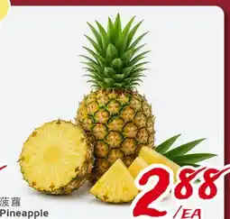 United Supermarket Pineapple offer