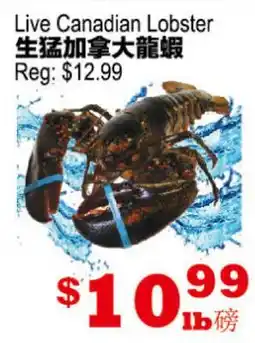 Yuan Ming Supermarket Live Canadian Lobster offer