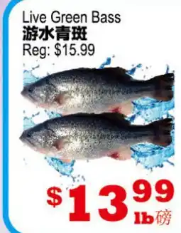Yuan Ming Supermarket Live Green Bass offer