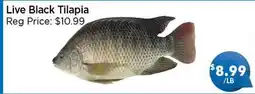 Blue Sky Supermarket Live Black Tilapia offer