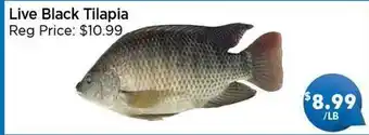 Blue Sky Supermarket Live Black Tilapia offer