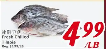 United Supermarket Fresh Chilled Tilapia offer