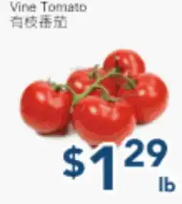 Oceans Fresh Food Market Vine Tomato offer