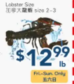 Oceans Fresh Food Market Lobster Size offer