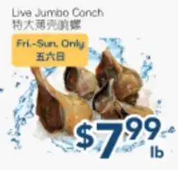 Oceans Fresh Food Market Live Jumbo Conch offer