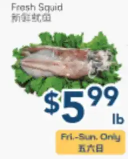 Oceans Fresh Food Market Fresh Squid offer