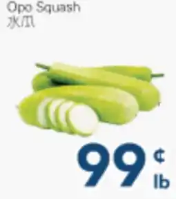 Oceans Fresh Food Market Opo Squash offer