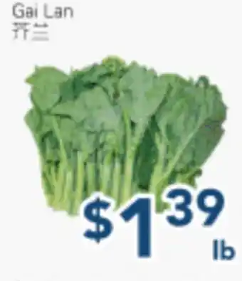 Oceans Fresh Food Market Gai Lan offer