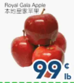 Oceans Fresh Food Market Local Gala Apple offer