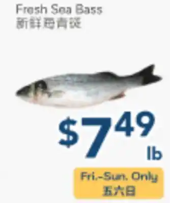 Oceans Fresh Food Market Fresh Sea Bass offer