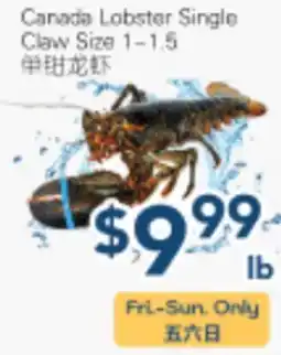 Oceans Fresh Food Market Canada Lobster Single Claw Size 1-1.5 offer