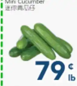 Oceans Fresh Food Market Mini Cucumber offer