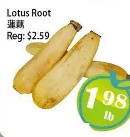 Food Depot Supermarket Lotus Root offer