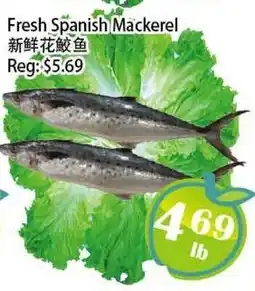 Food Depot Supermarket Fresh Spanish Mackerel offer