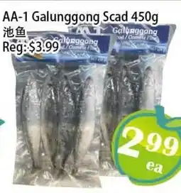 Food Depot Supermarket AA-1 Galunggong Scad offer