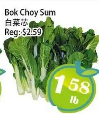 Food Depot Supermarket Bok Choy Sum offer